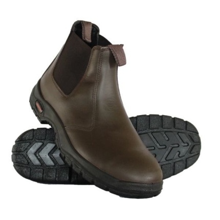 Safety shoe zeus